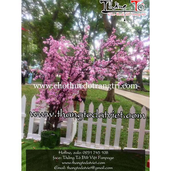 cho thuê cảnh Nhật Bản 7